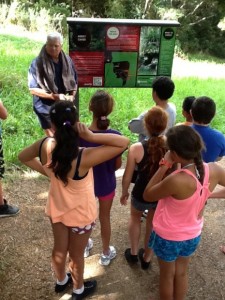 Matua Kahuroa giving us our abseiling safety instructions